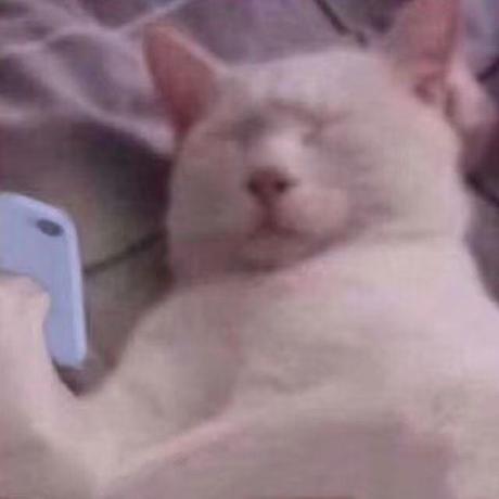 sscat